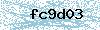 Code de sécurité